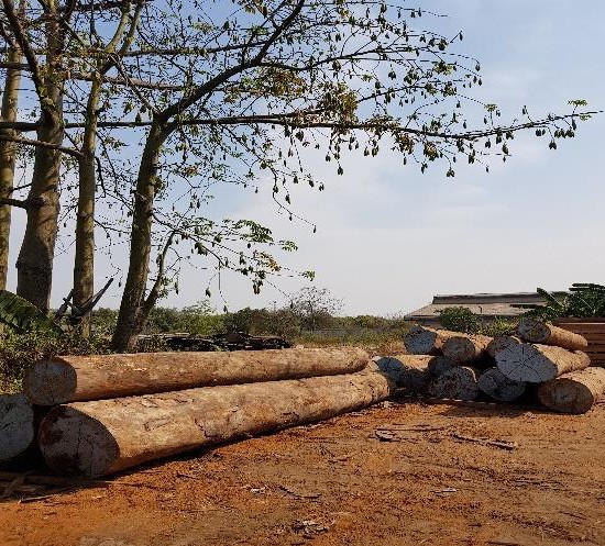 Stok bahan baku log